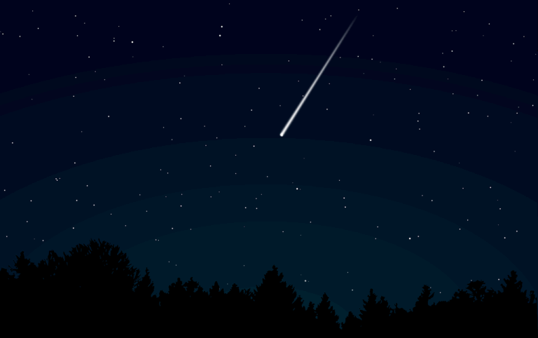 Une étoile filante brillante de la pluie de météores des Perséides traversant un ciel nocturne étoilé au-dessus d'une silhouette de forêt au Québec.